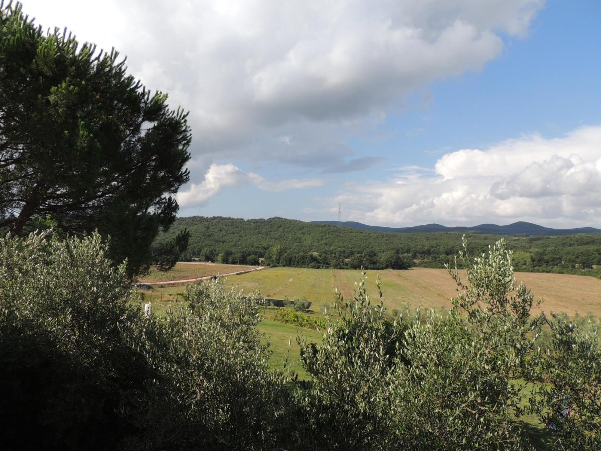 Agriturismo Podere Borgognano Massa Marittima Chambre photo