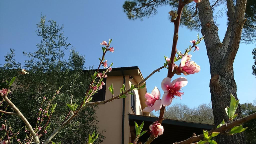 Agriturismo Podere Borgognano Massa Marittima Extérieur photo