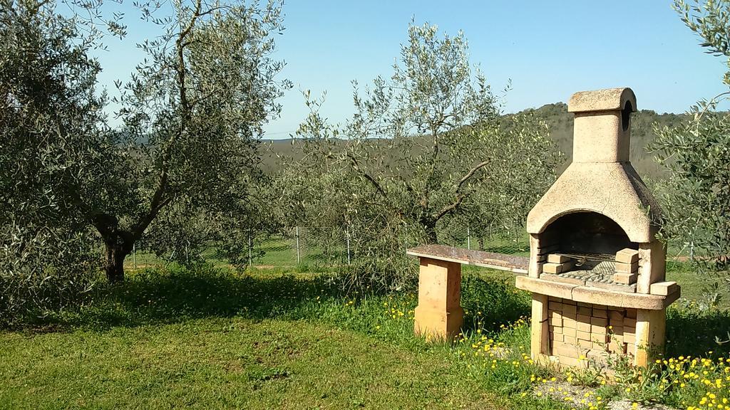 Agriturismo Podere Borgognano Massa Marittima Extérieur photo