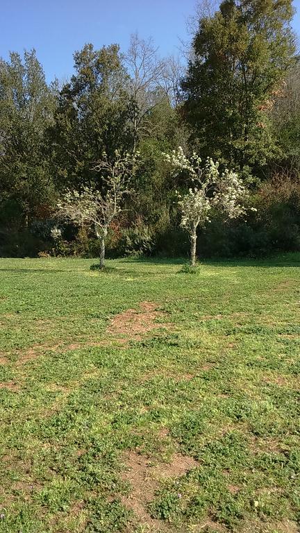 Agriturismo Podere Borgognano Massa Marittima Extérieur photo