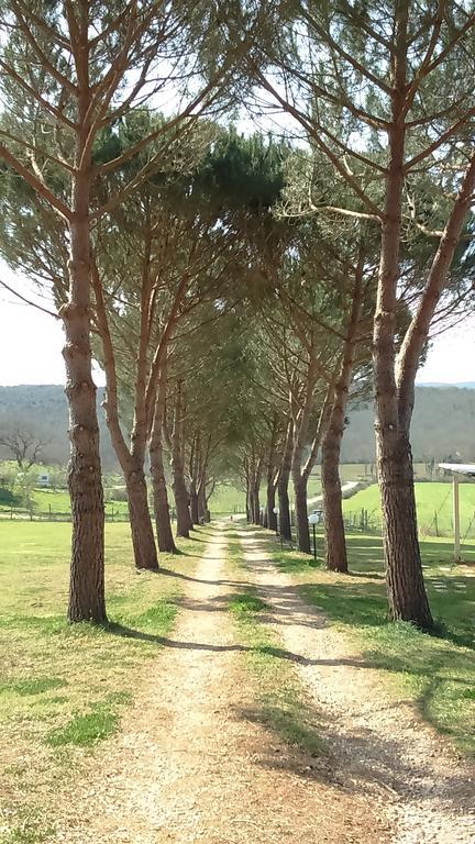 Agriturismo Podere Borgognano Massa Marittima Extérieur photo