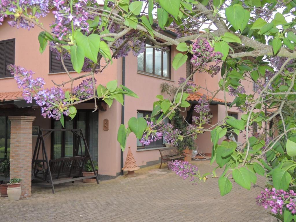 Agriturismo Podere Borgognano Massa Marittima Extérieur photo