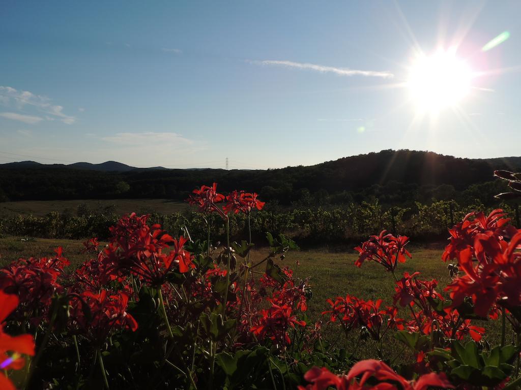 Agriturismo Podere Borgognano Massa Marittima Extérieur photo