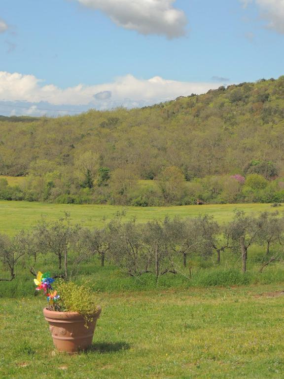 Agriturismo Podere Borgognano Massa Marittima Extérieur photo